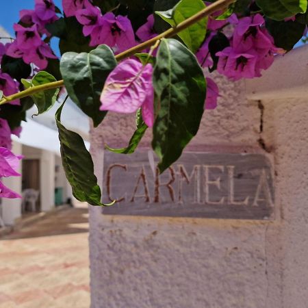 Villa Carmela A Сан Пиетро ин Беваня Екстериор снимка