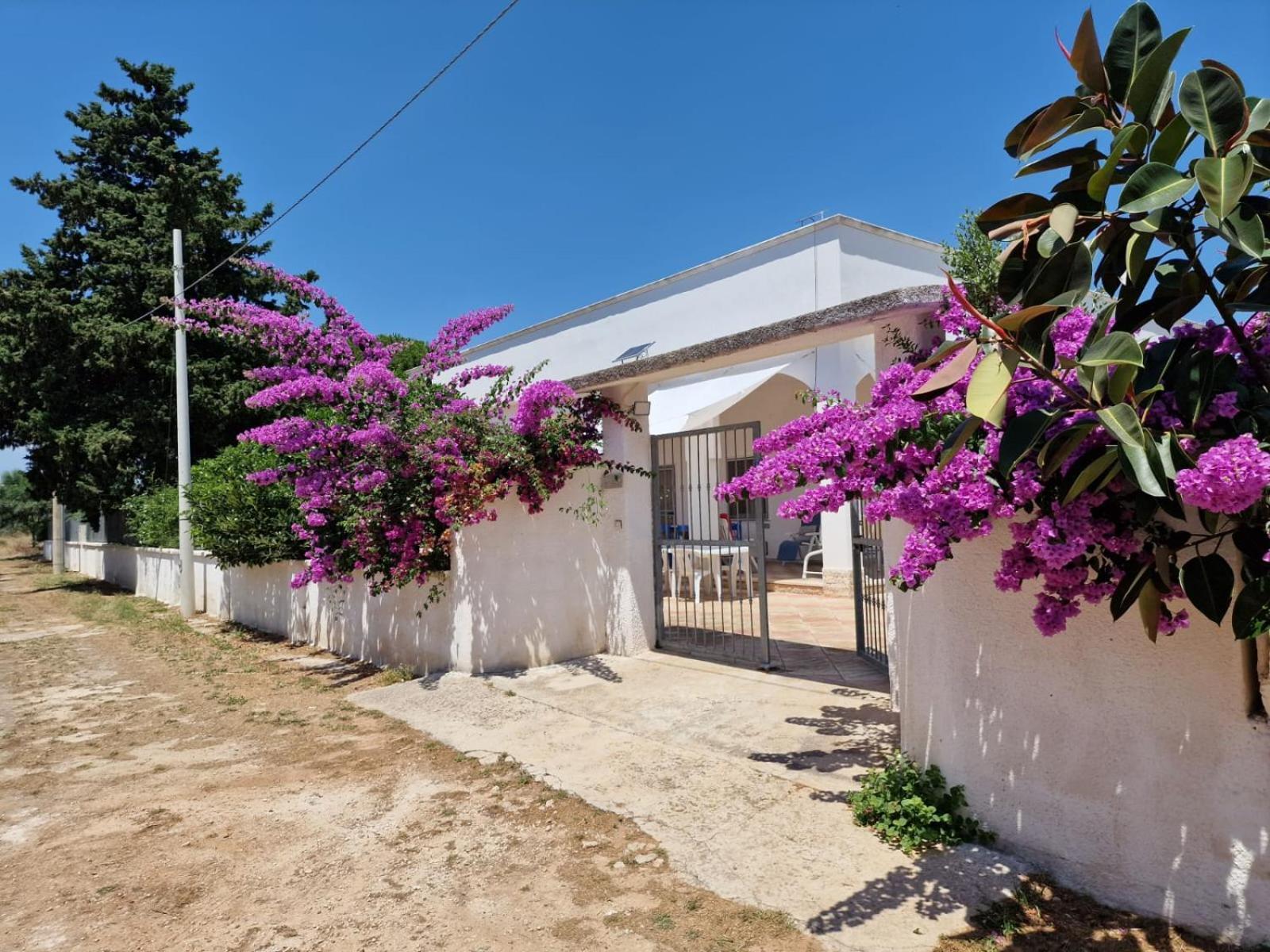 Villa Carmela A Сан Пиетро ин Беваня Екстериор снимка