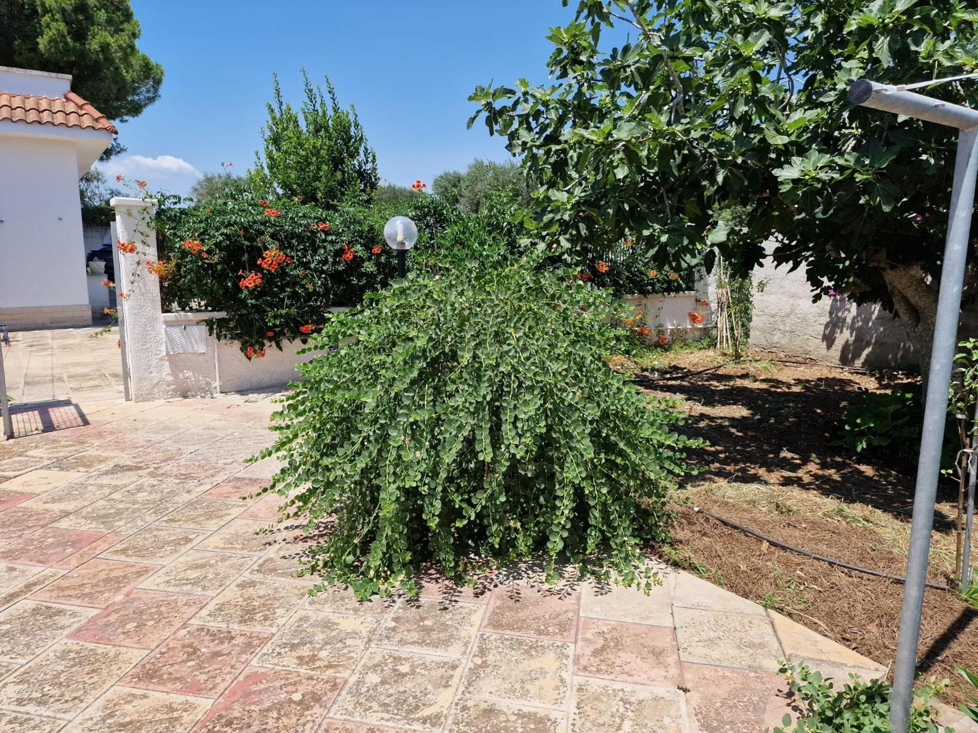 Villa Carmela A Сан Пиетро ин Беваня Екстериор снимка